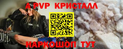 стаф Будённовск
