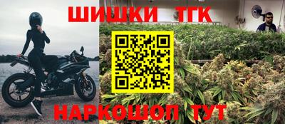 стаф Будённовск