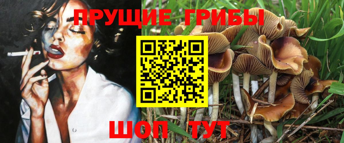 Новоалтайск  Псилоцибиновые грибы Psilocybe  купить закладку  Вход с VPN 