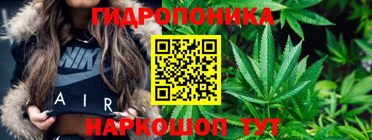 Марихуана White Widow  Вход с VPN  Бошки марихуана план  Новоалтайск 